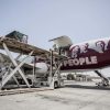 Qatar Airways and Animal Defenders Intl Fly Young Lions Home to South Africa